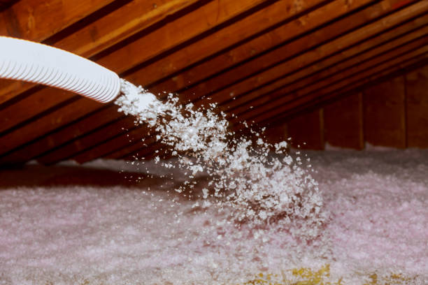 Best Types of Insulation in Strafford, MO