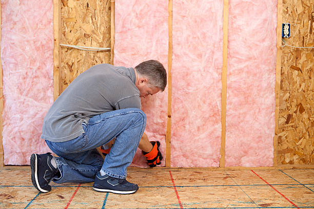 Best Insulation Maintenance and Repair in Strafford, MO